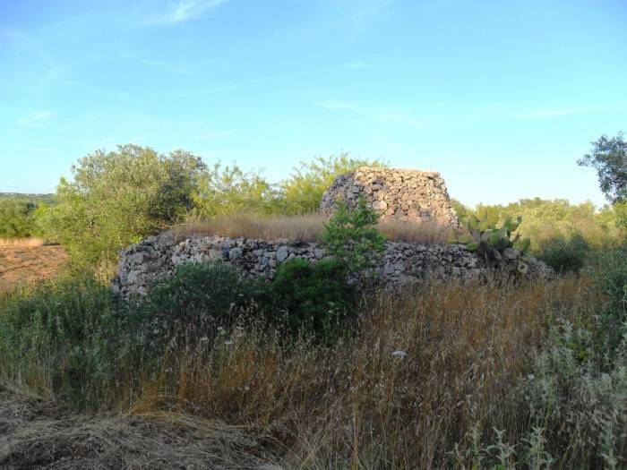 Terreno a Specchia - Foto 5
