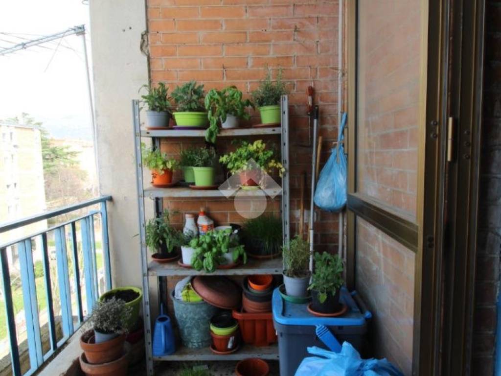 Appartamento a Caserta in Via Eleuterio Ruggiero, 82 - Foto 5