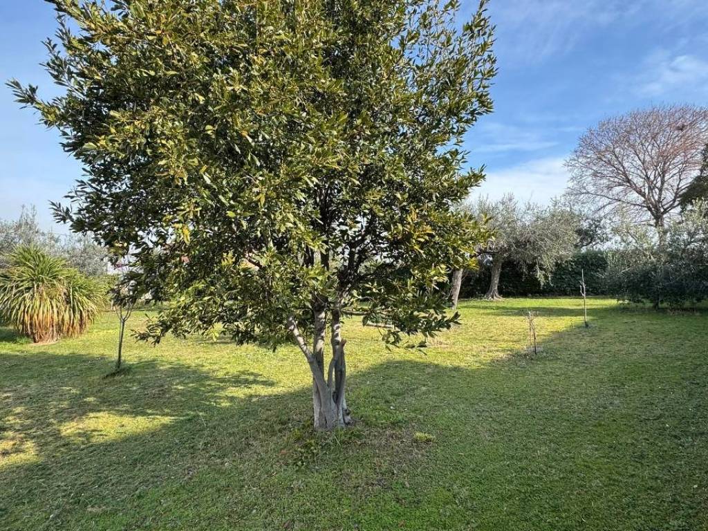 Villa a Controguerra in Contrada San Giovanni, 11 - Foto 5