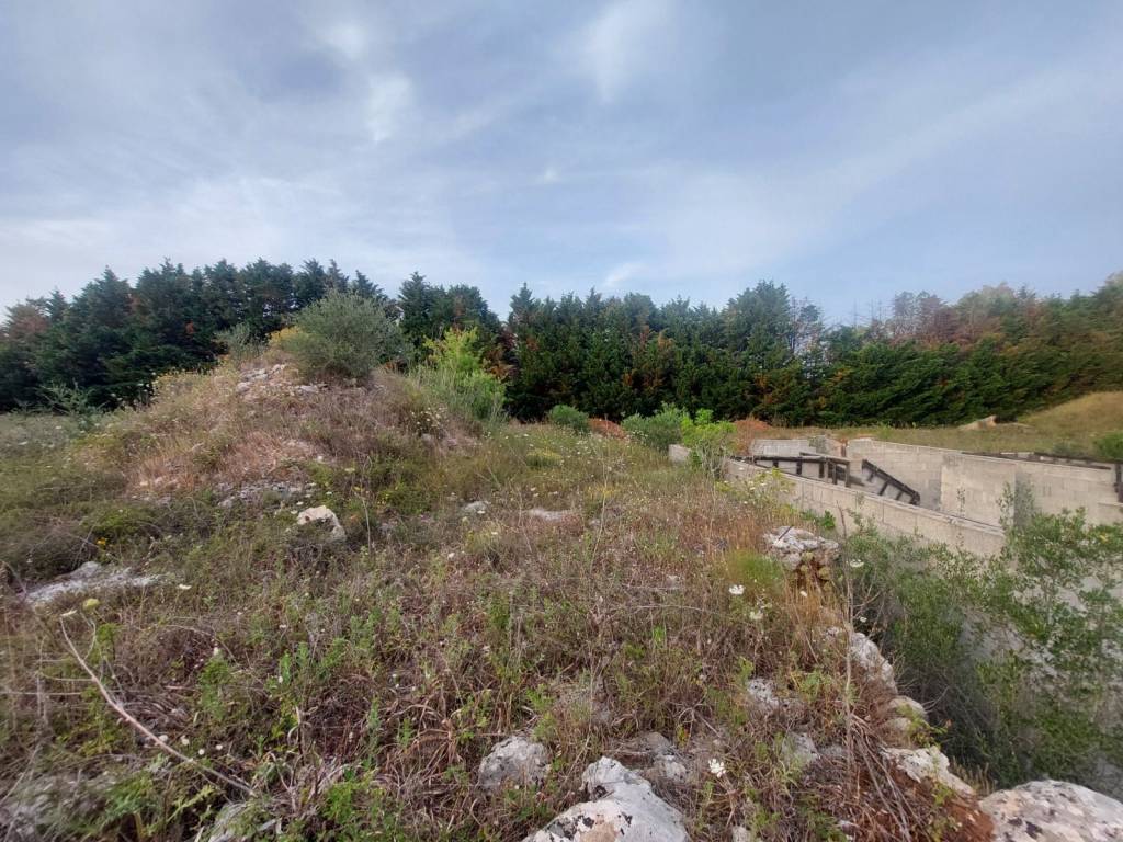 Terreno a Muro leccese in Contrada Macallè, snc - Foto 4