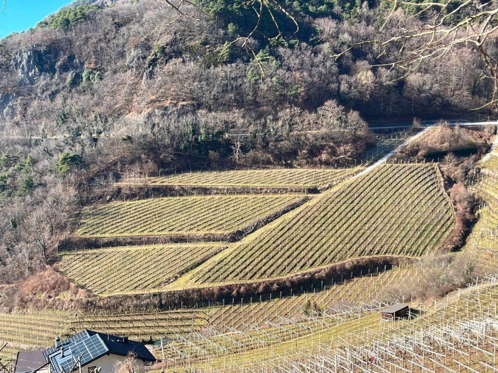 Terreno a Cembra lisignago in Strada Statale della Val di Cembra - Foto 2