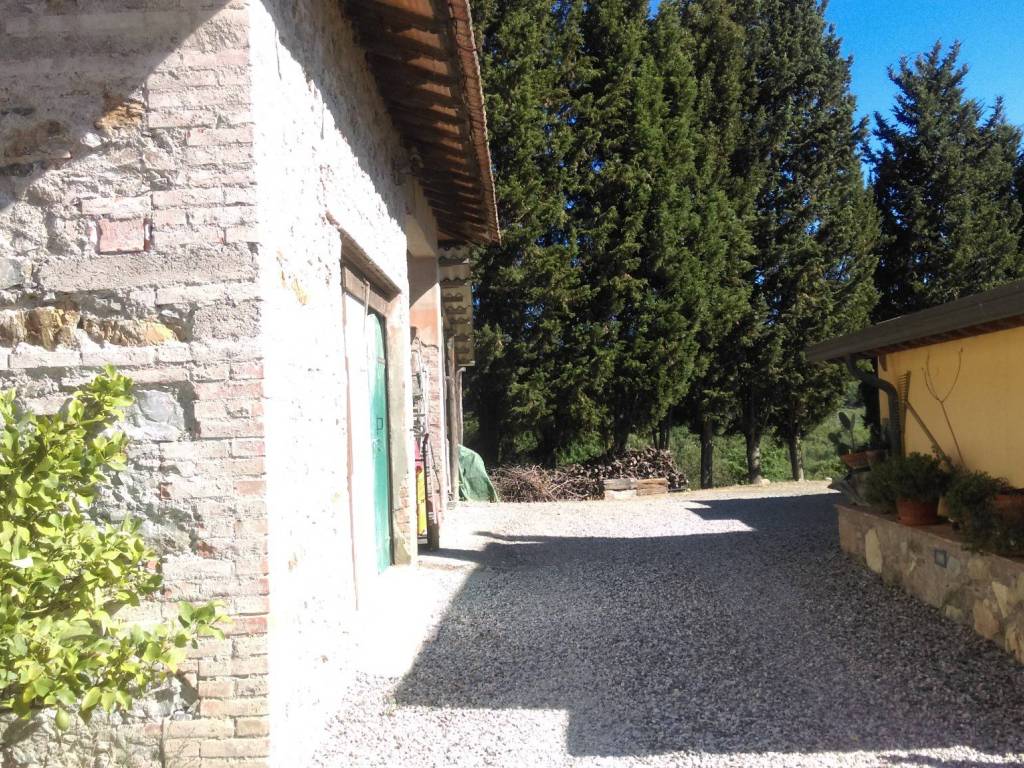 Rustico / casale a Rosignano marittimo - Foto 4