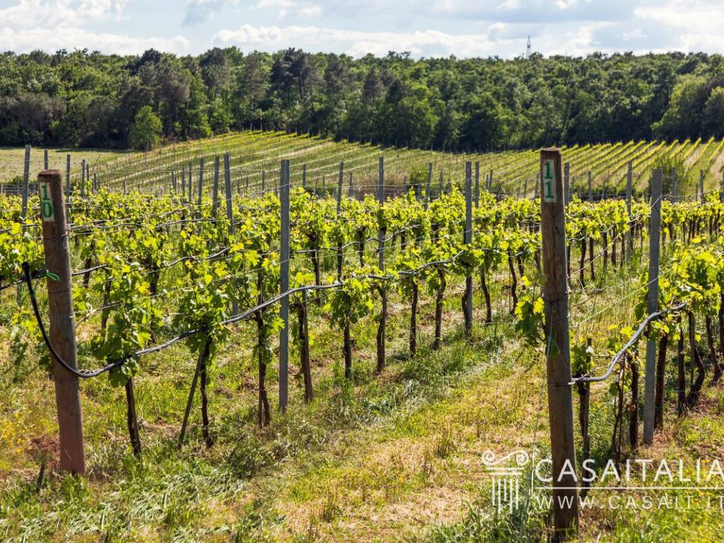 Immobile a Castiglione del lago - Foto 3