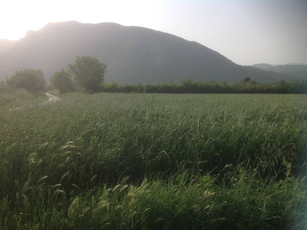 Terreno a Venafro - Foto 2