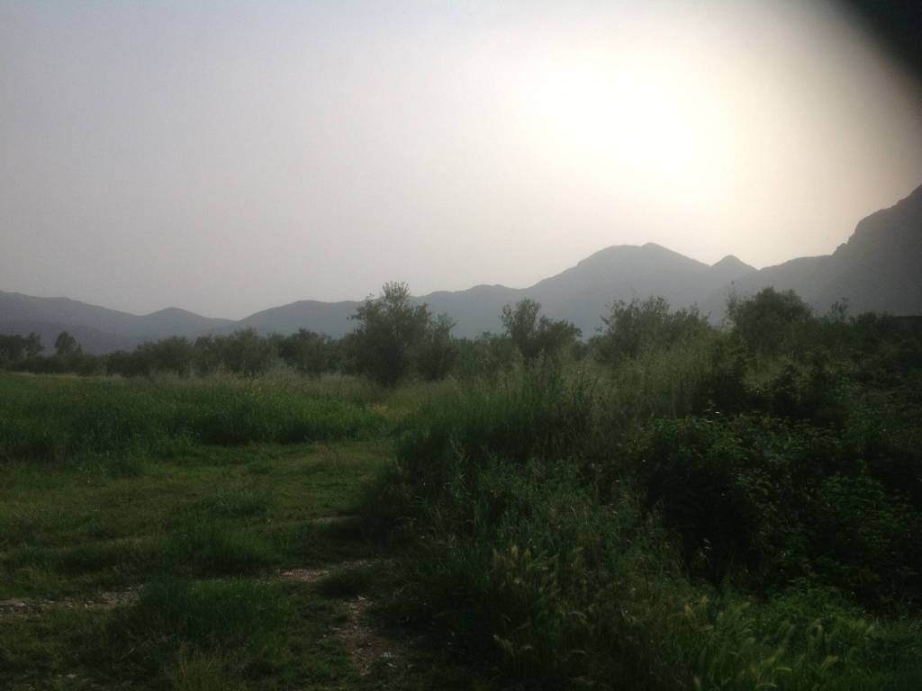 Terreno a Venafro - Foto 4