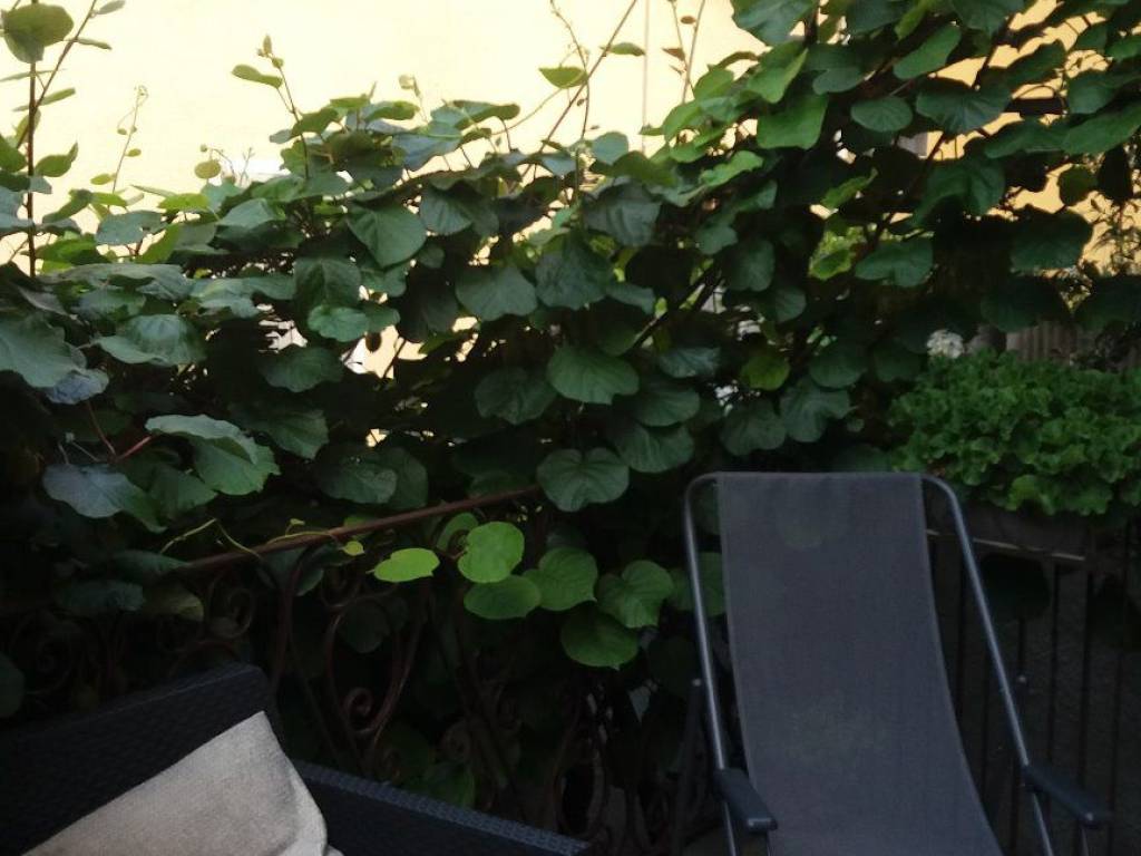 Appartamento a Bellano in Via Plinio - Foto 5