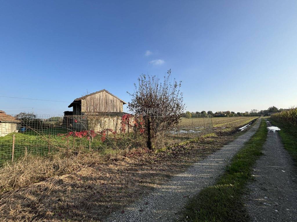 Rustico / casale a Casale monferrato in Strada degli Orti - Foto 2