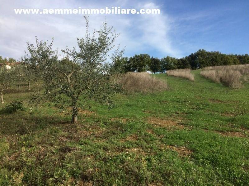 Terreno a Casole d'elsa in Via del Gesso - Foto 5