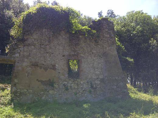 Rustico / casale a Amelia in Via Rimembranze, 8 - Foto 3