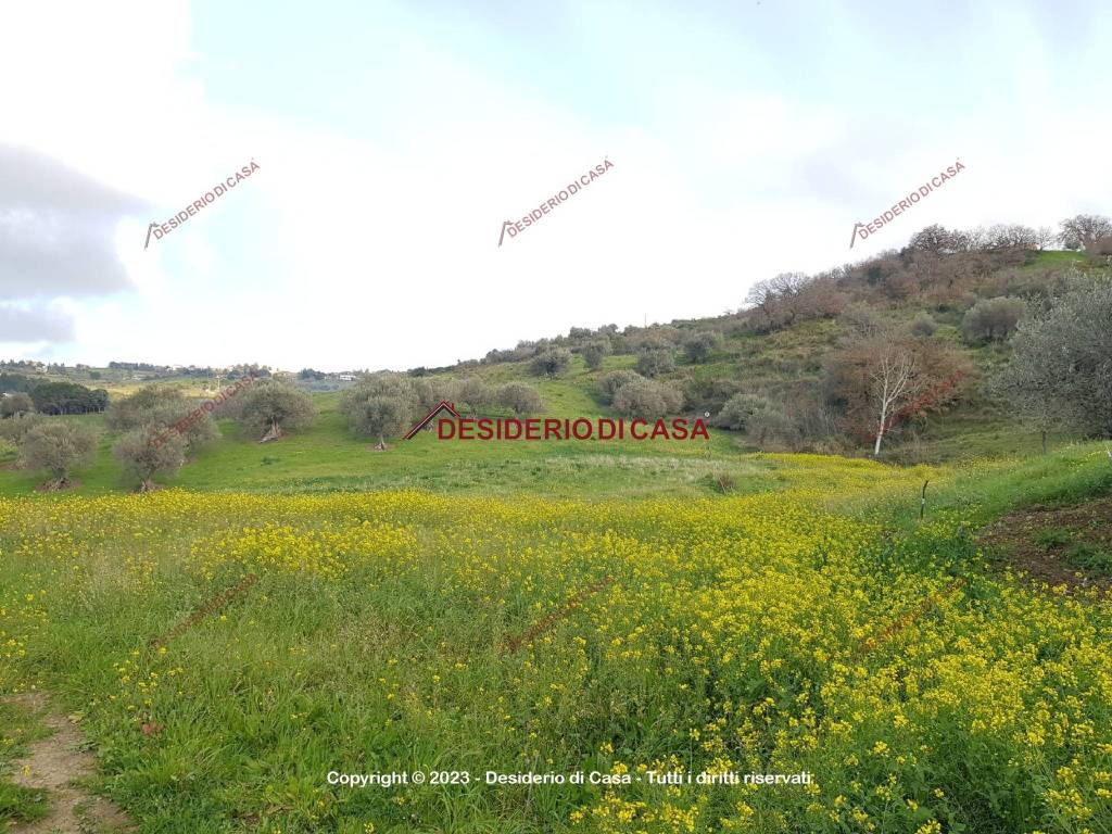 Terreno a Caccamo in Strada Statale di Caccamo, 93 - Foto 3