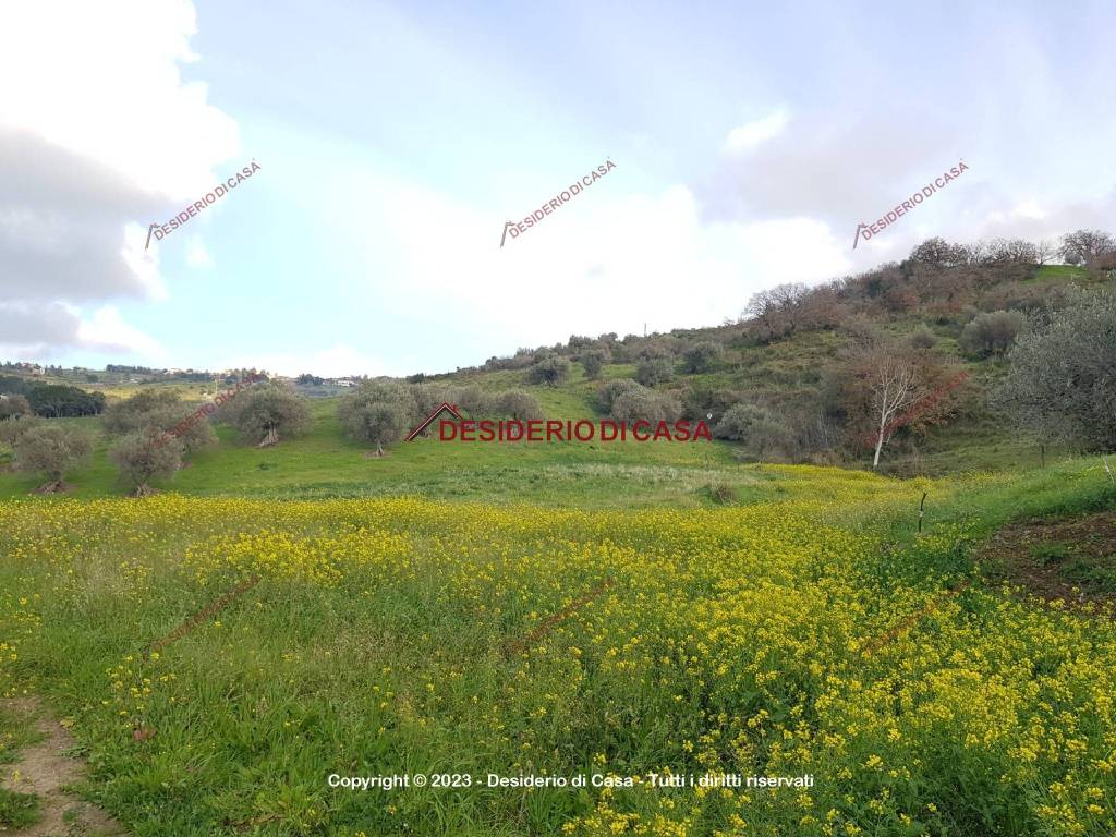 Terreno a Caccamo in Strada Statale di Caccamo, 93 - Foto 4