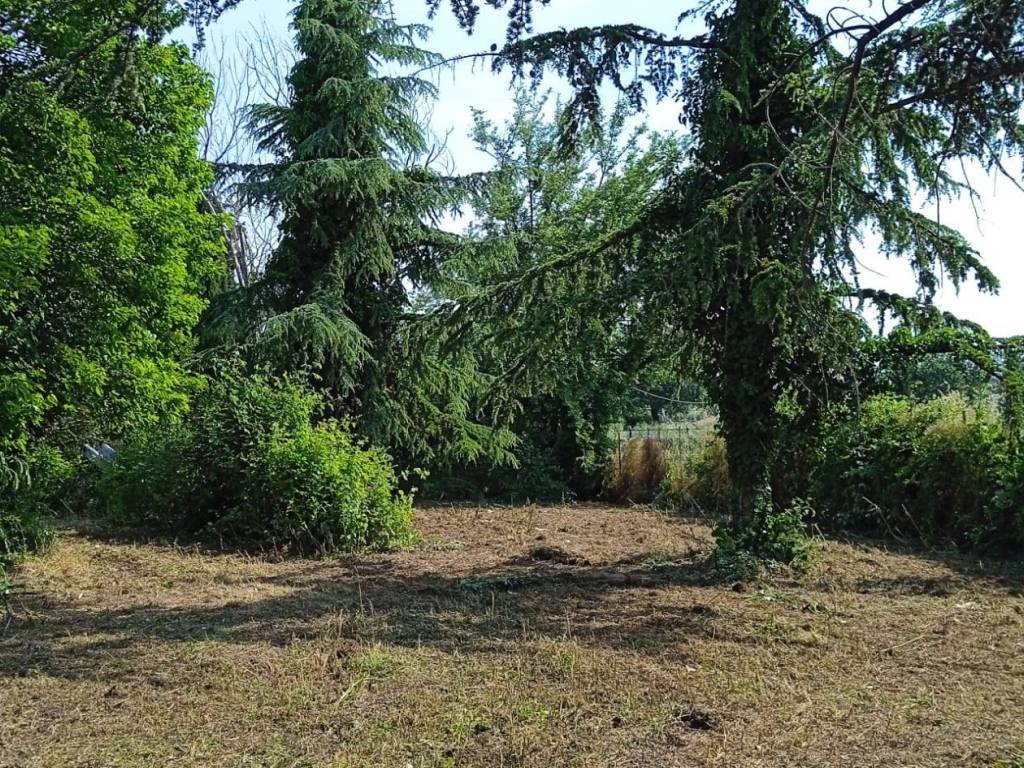 Rustico / casale a Fano - Foto 3