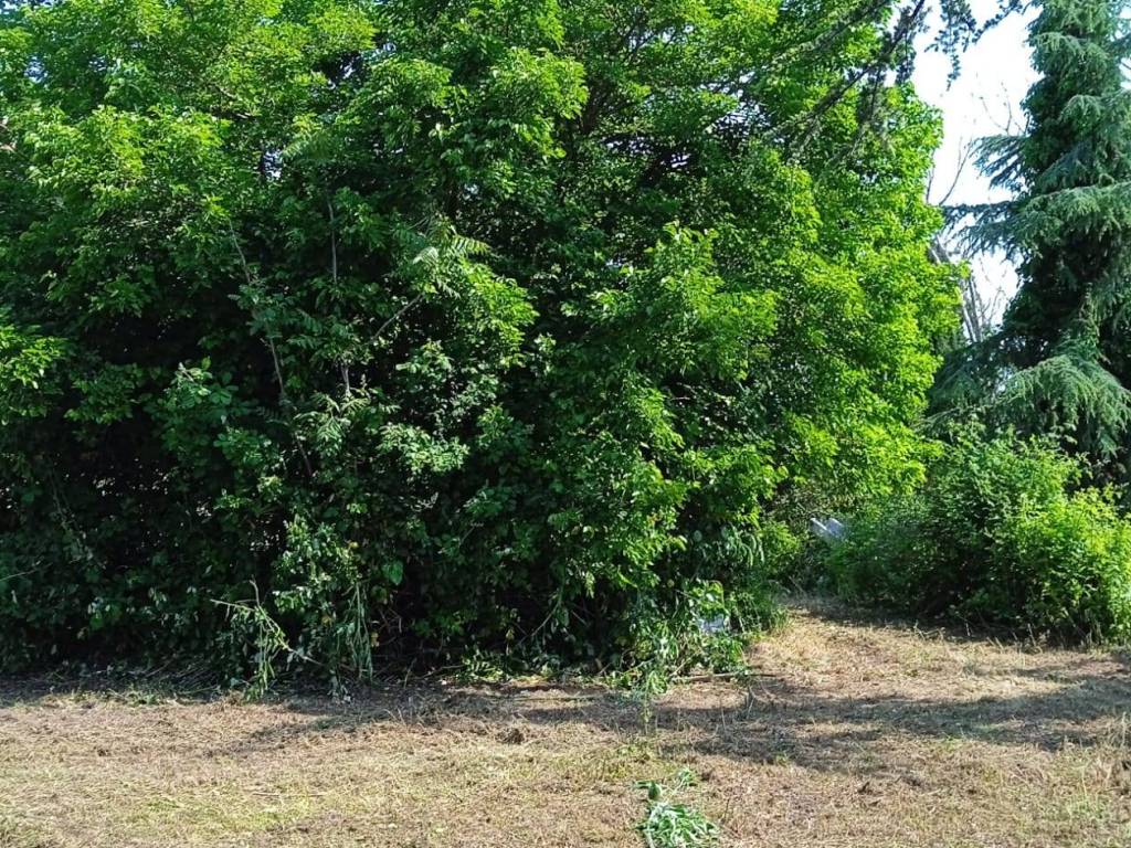 Rustico / casale a Fano - Foto 4