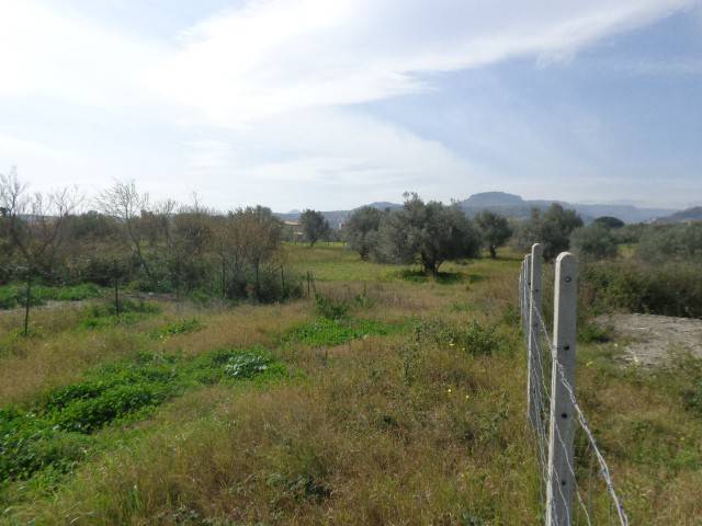 Terreno a Gioiosa ionica - Foto 2
