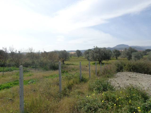 Terreno a Gioiosa ionica - Foto 3