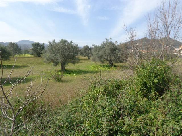 Terreno a Gioiosa ionica - Foto 5