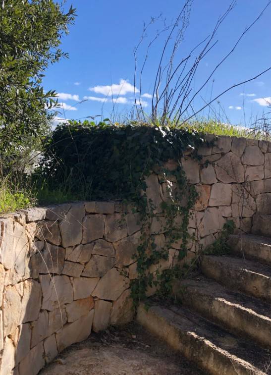Villa a Fasano in Viale Gordini - Foto 4