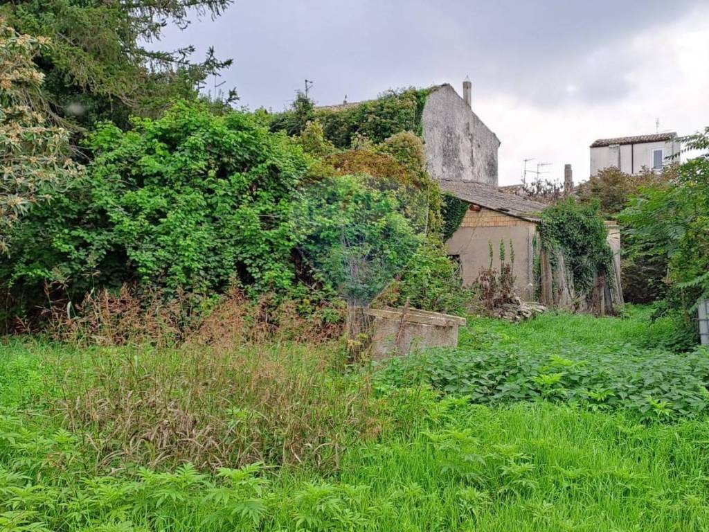 Terreno a San vito chietino - Foto 3