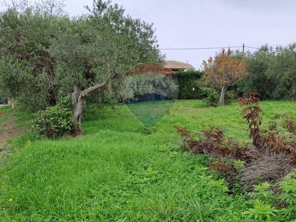 Terreno a San vito chietino - Foto 5