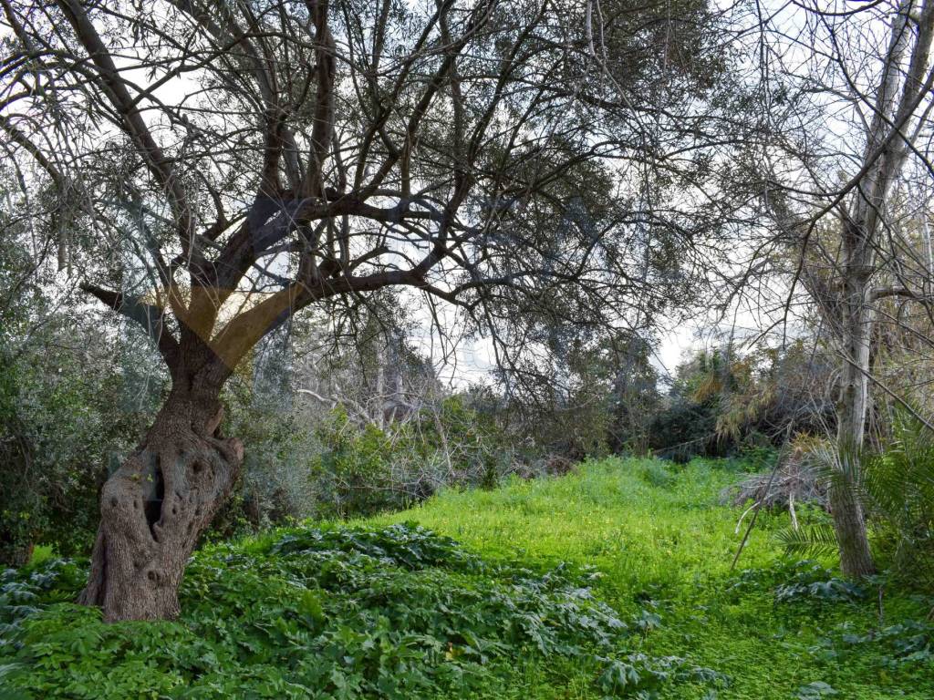 Rustico / casale a Canicattini bagni in Contrada Stallaini - Foto 2