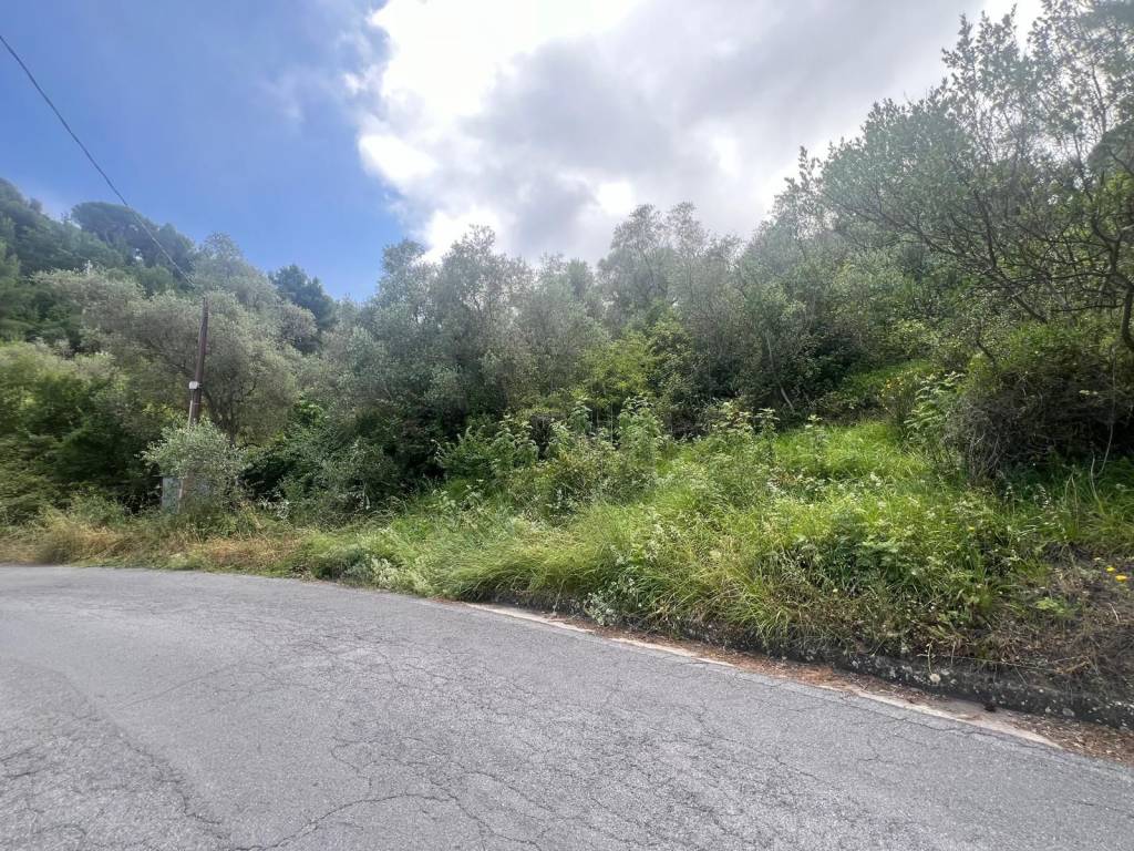 Terreno a Costarainera in Via Cipressa - Foto 2
