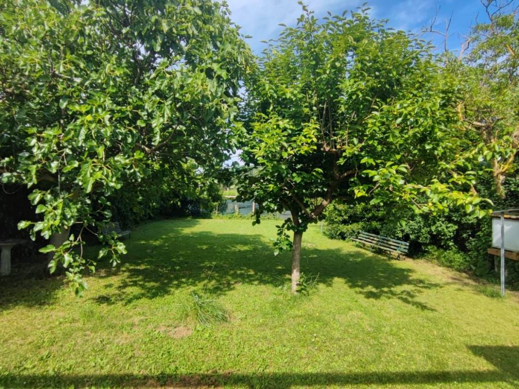 Terreno a Pesaro in Strada di Valgelata - Foto 4