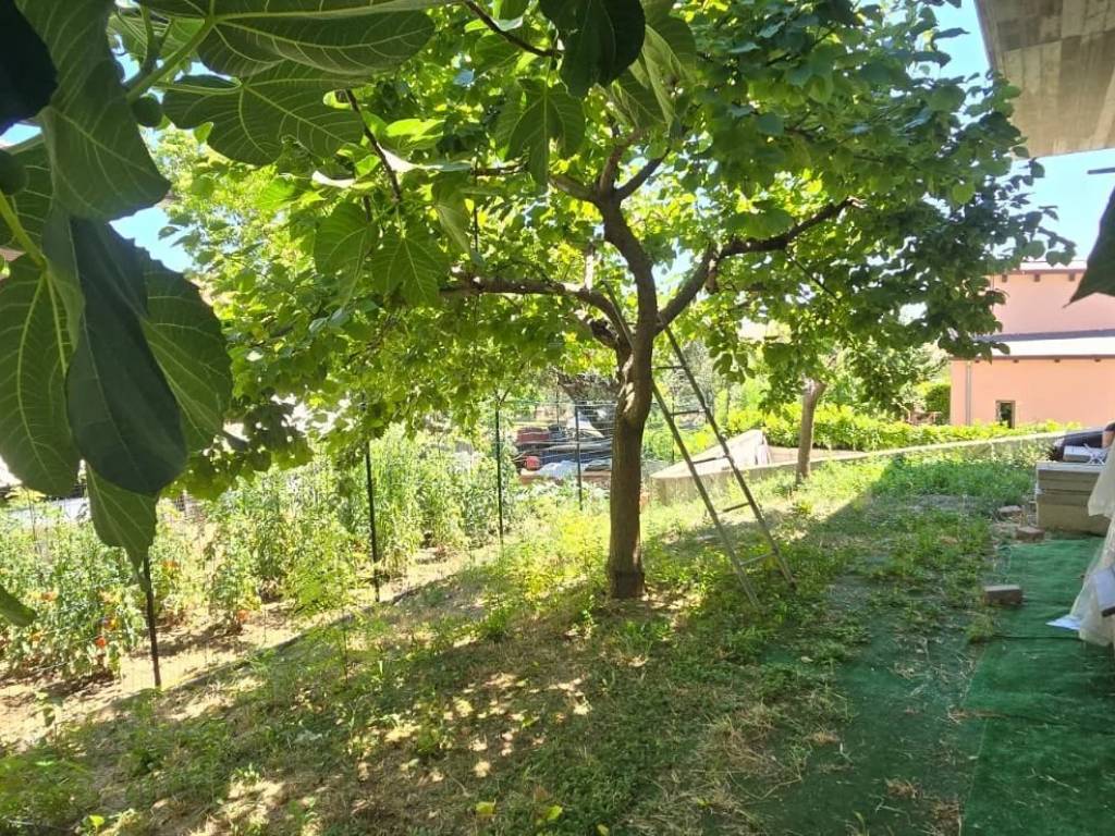 Villa a Collecorvino - Foto 5
