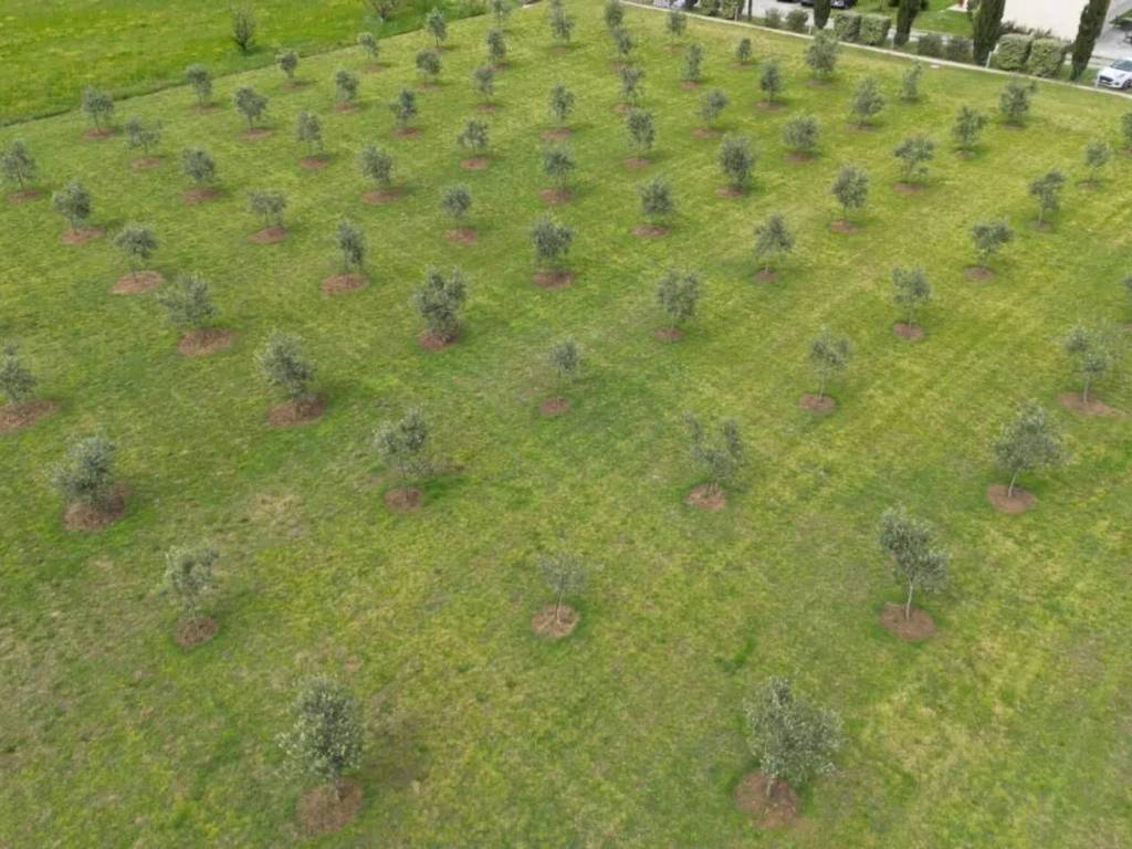 Terreno a Luni in Via Nuova Appia - Foto 2