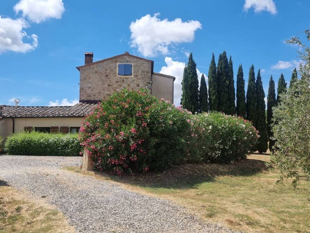 Villa a Castellina marittima in Via Roma - Foto 5