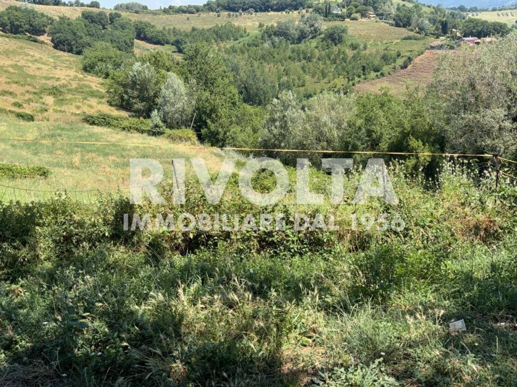 Terreno a Collevecchio in Via Roane - Foto 2