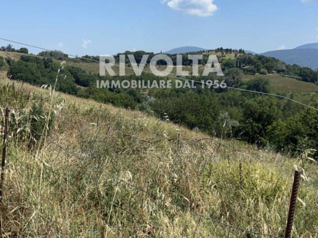 Terreno a Collevecchio in Via Roane - Foto 3