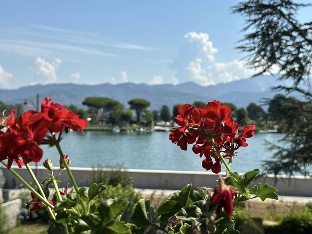 Villa a Ameglia in Via C. A. Fabbricotti - Foto 4