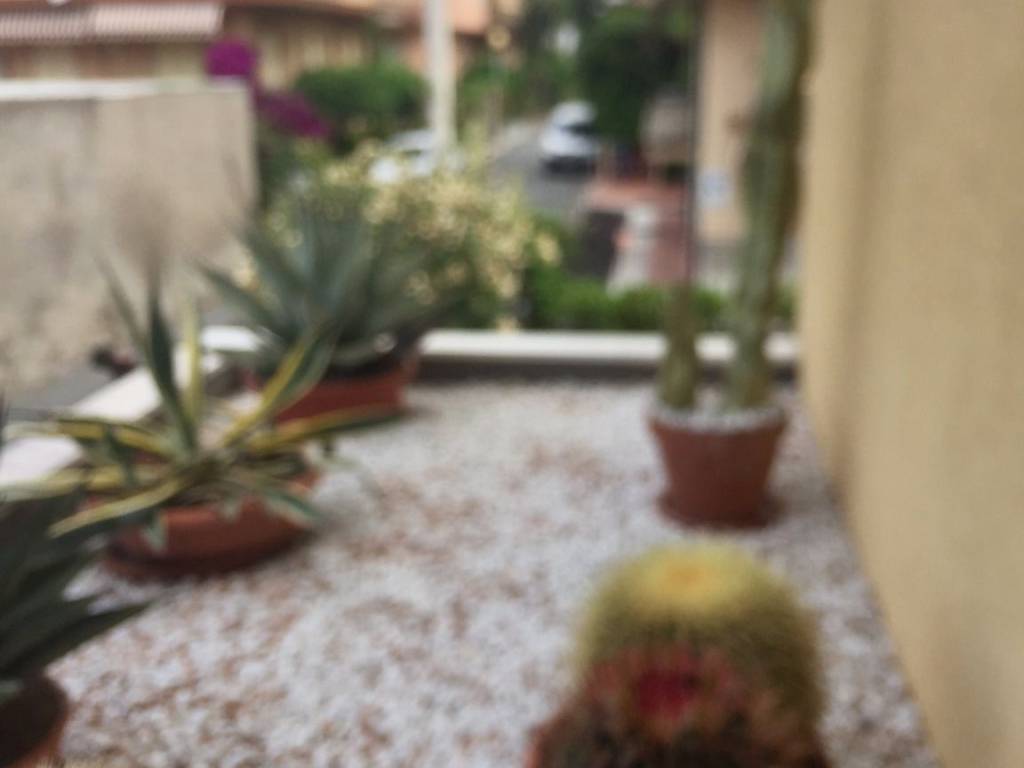 Appartamento a Bordighera - Foto 5