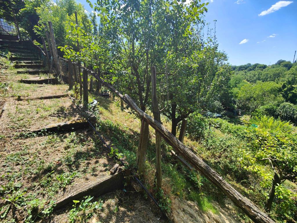 Terreno a Bucine in Via Guglielmo Oberdan - Foto 3