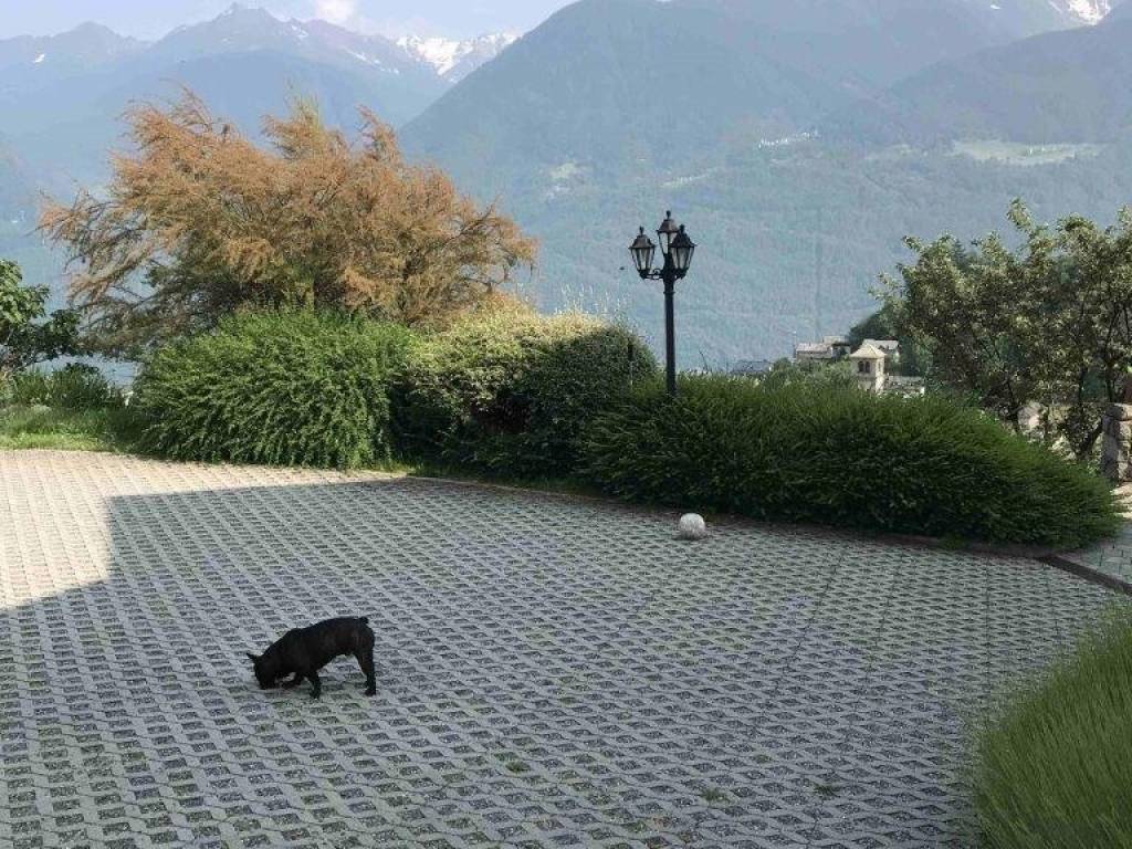 Appartamento a Teglio in Via Carec, 6 - Foto 5
