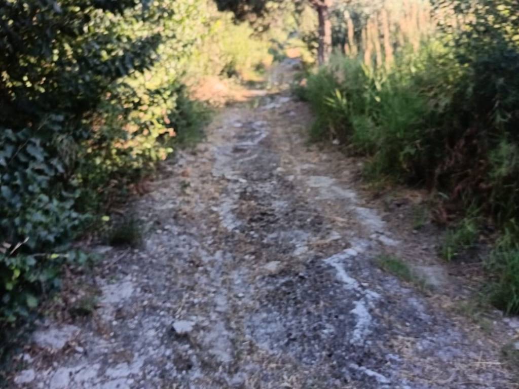 Terreno a Catanzaro in Viale Emilia - Foto 2