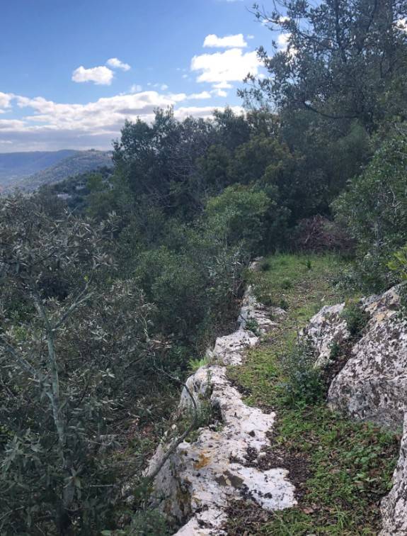 Rustico / casale a Fasano in Viale Gordini - Foto 3