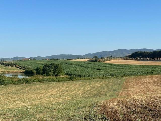 Terreno a Orbetello - Foto 2
