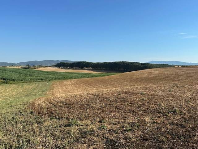 Terreno a Orbetello - Foto 4