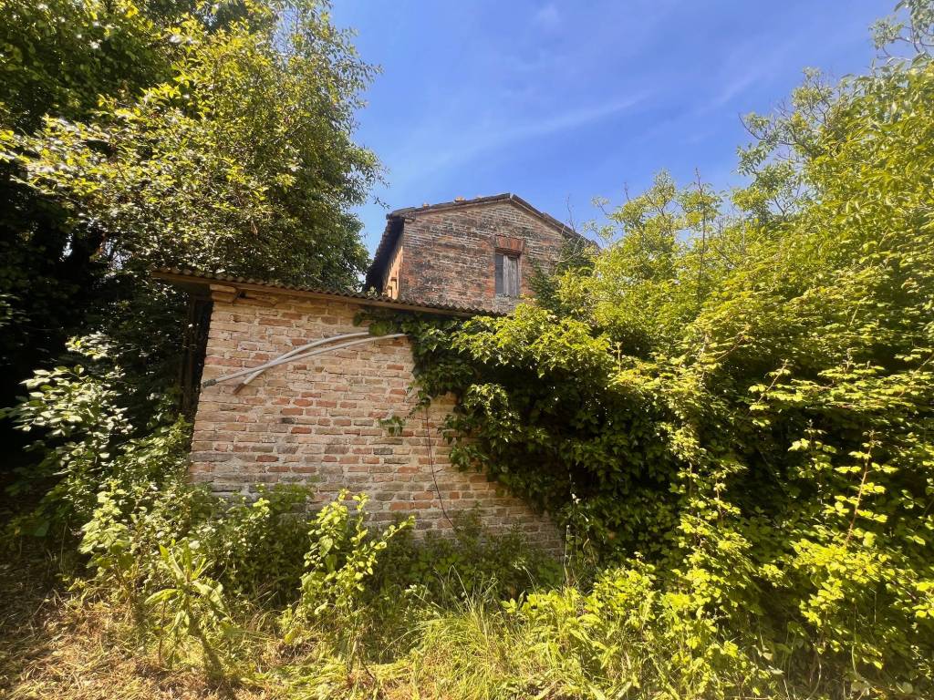 Rustico / casale a Serra de' conti - Foto 4