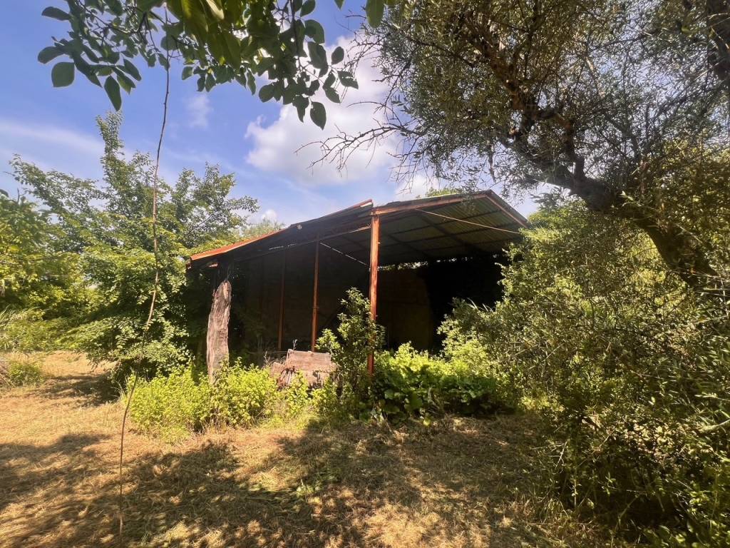 Rustico / casale a Serra de' conti - Foto 5