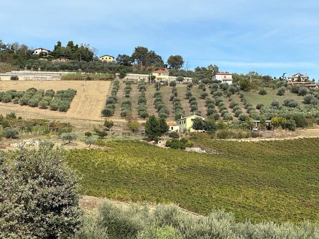 Rustico / casale a Atri in Contrada Cona - Foto 4