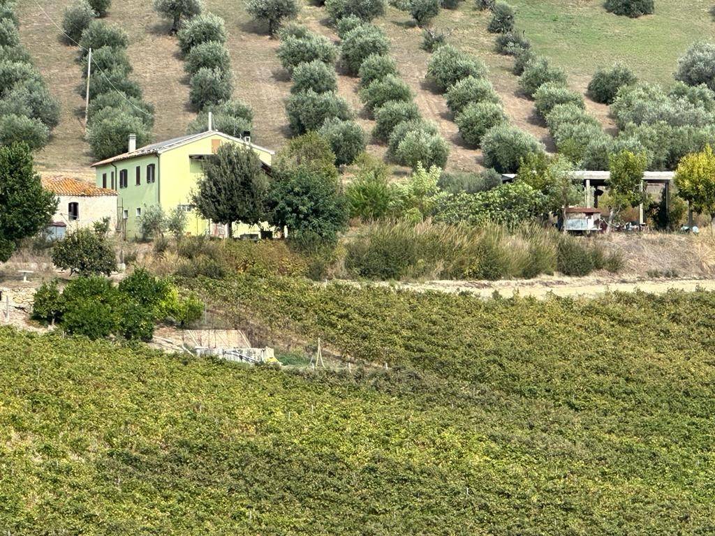 Rustico / casale a Atri in Contrada Cona - Foto 5