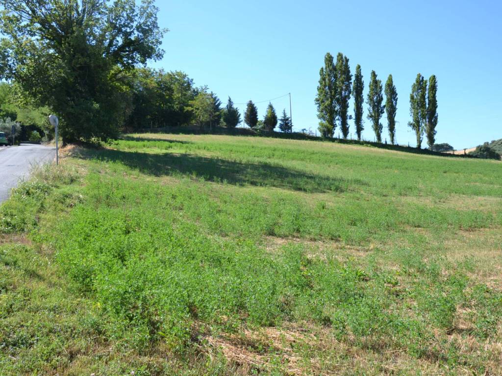 Terreno a Senigallia - Foto 2