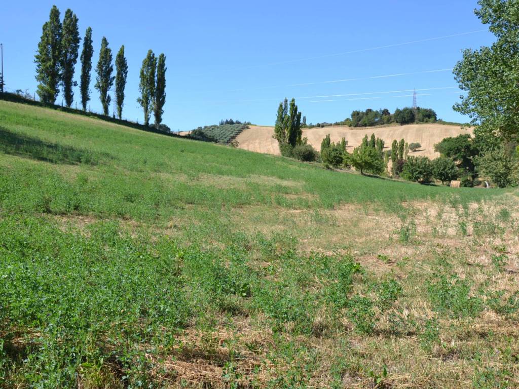 Terreno a Senigallia - Foto 3