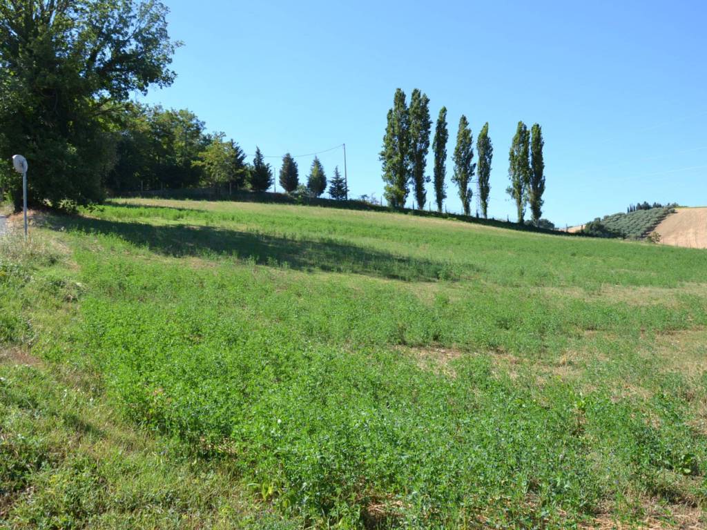 Terreno a Senigallia - Foto 4