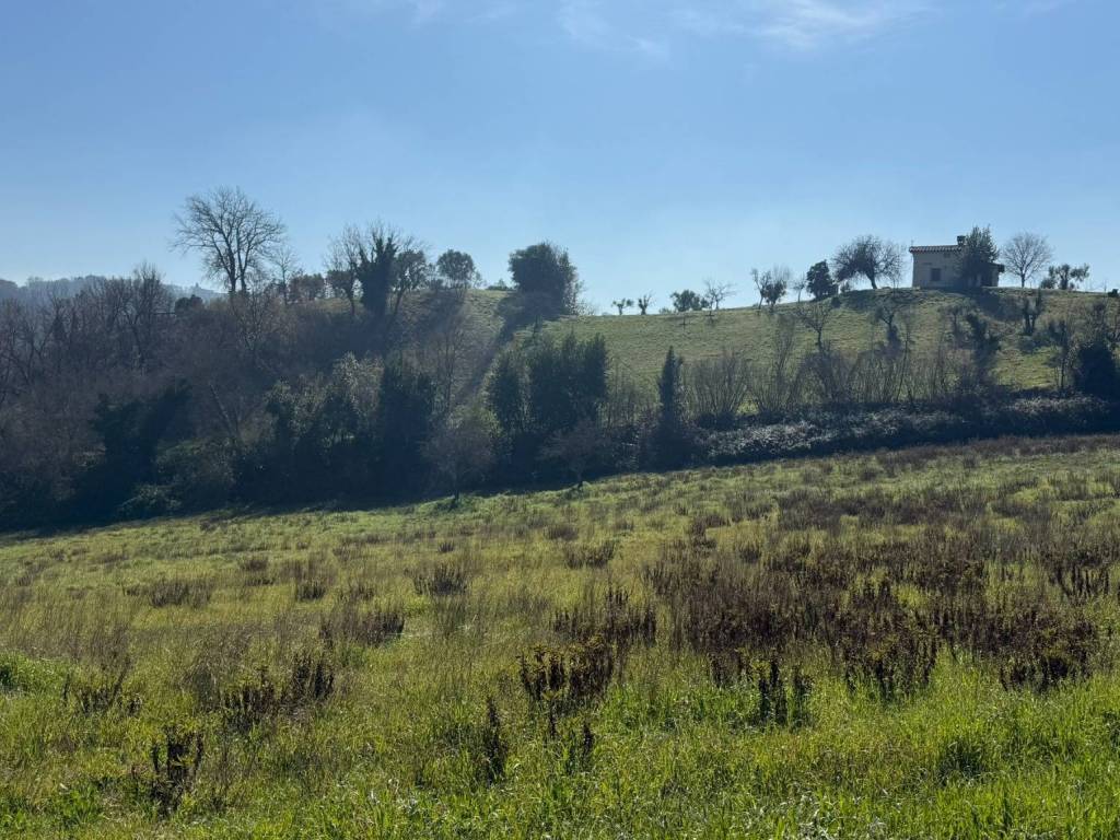 Terreno a Poggio mirteto in Via Rimisciano - Foto 4