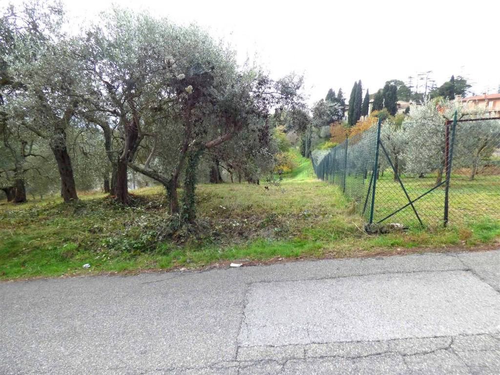 Terreno a Montepulciano - Foto 2