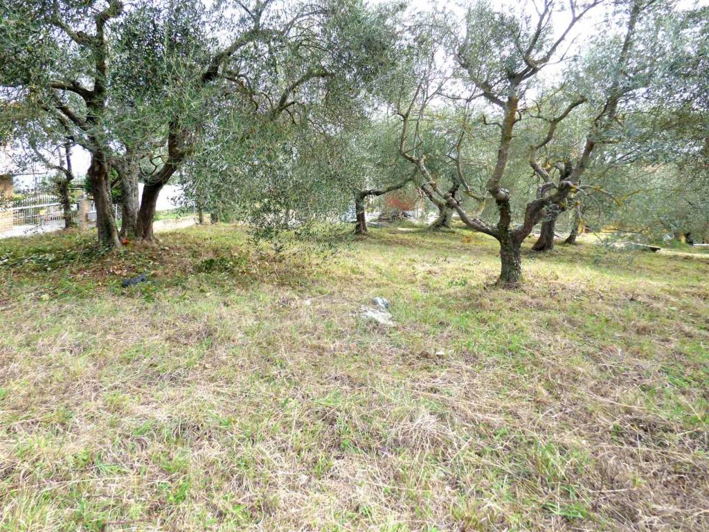 Terreno a Montepulciano - Foto 3