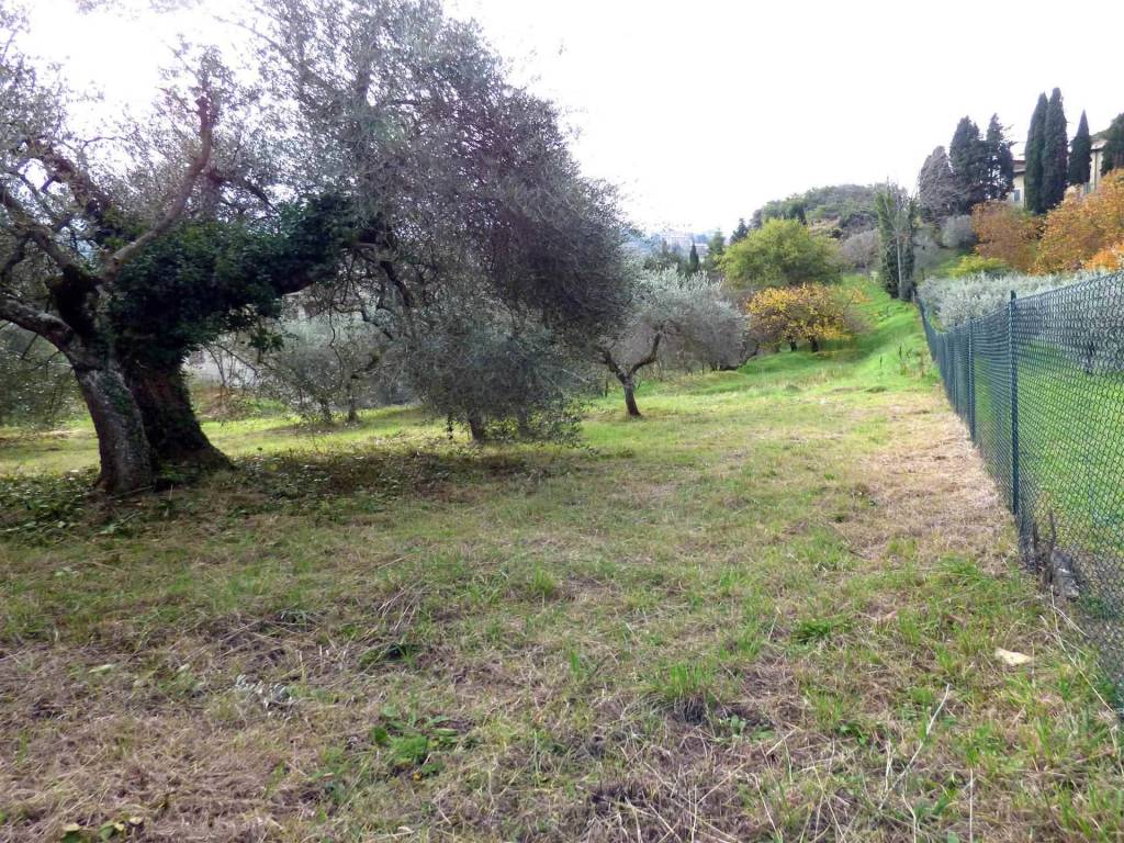 Terreno a Montepulciano - Foto 5